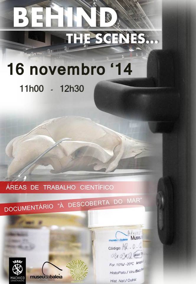 1622742 672496479515588 3823463102532978426 n