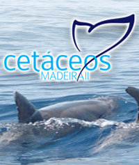 26506 100800656623664 7439269 n