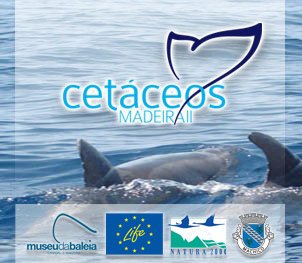 34417 156866681016795 6325851 n