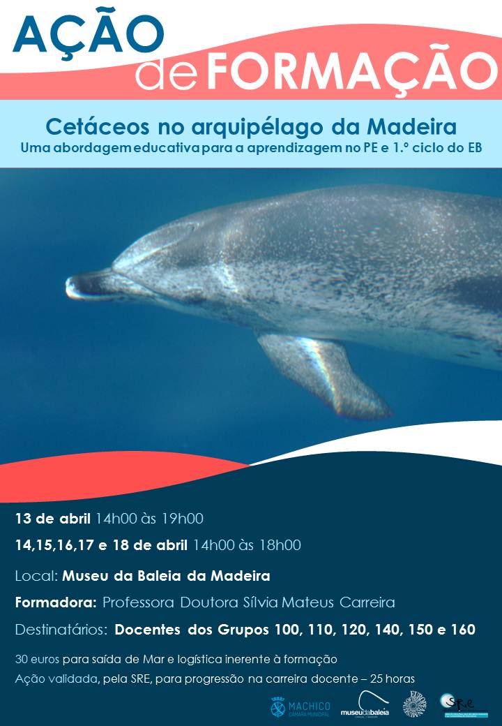 Cartaz formação 1 ciclo