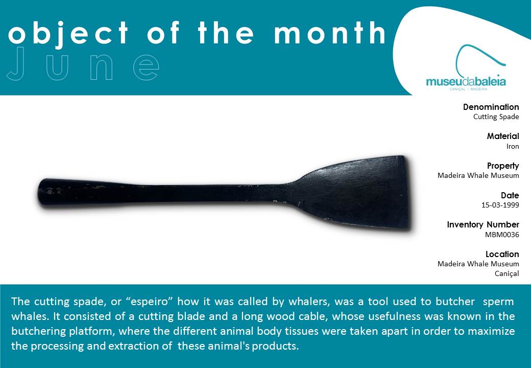 Peçadomêsjunho ingles