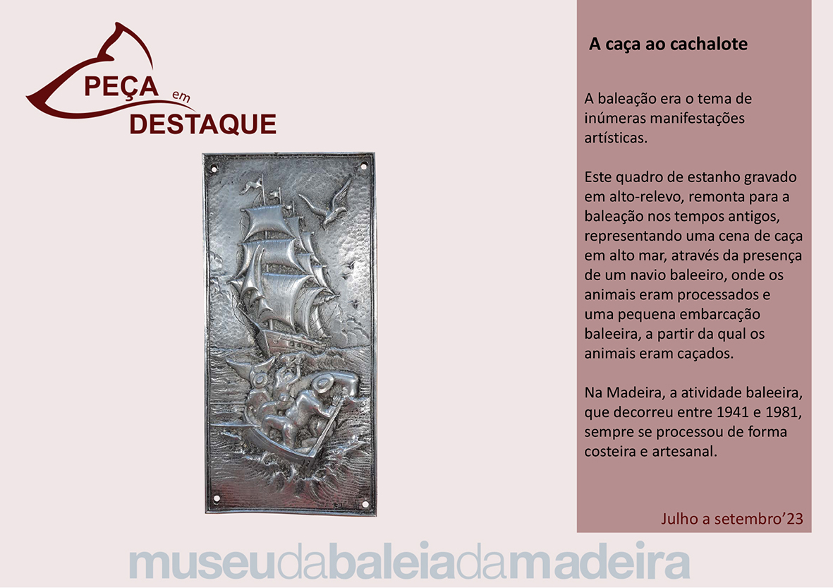Pea em destaque - 3.trimestre 2023-Port