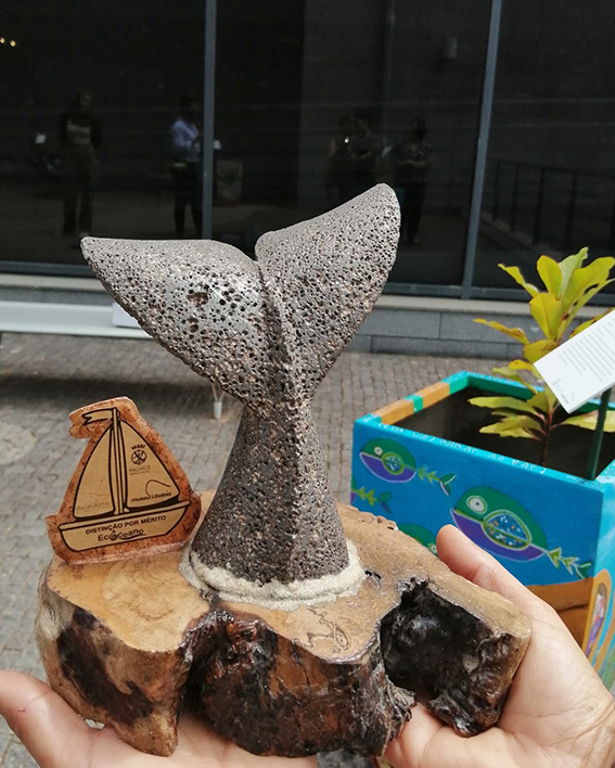 Vencedor