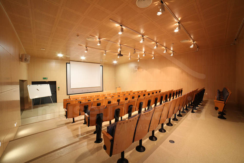 AUDITORIO 1