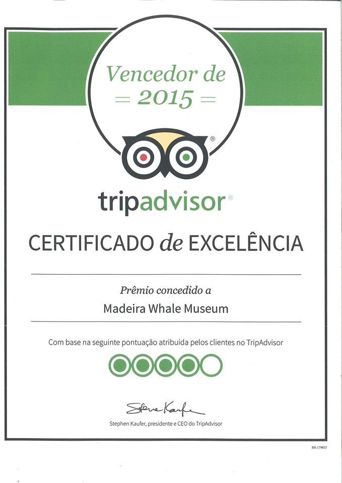 11406398 791661220932446 9152146267961347671 o