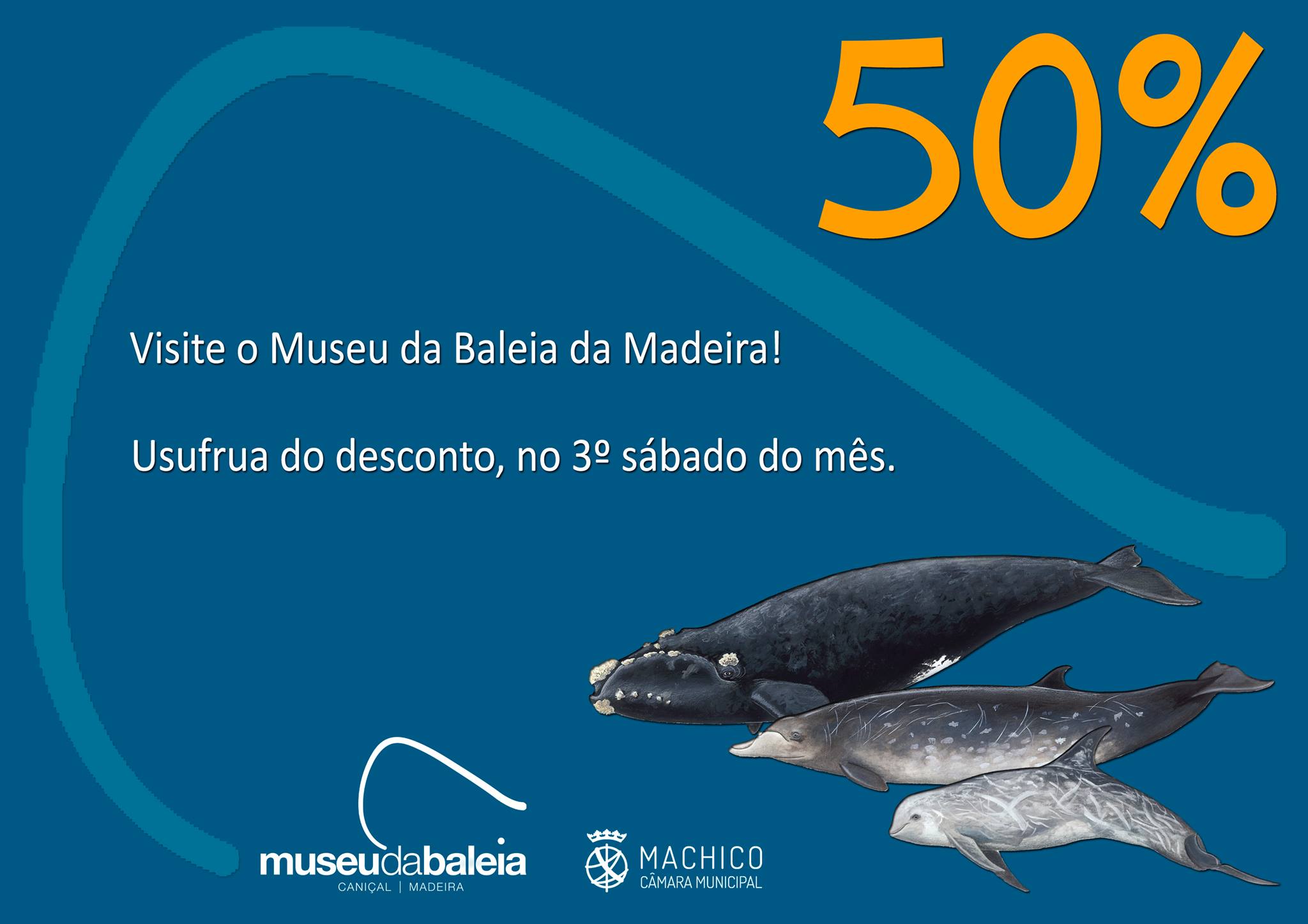 Cartaz 50 2021
