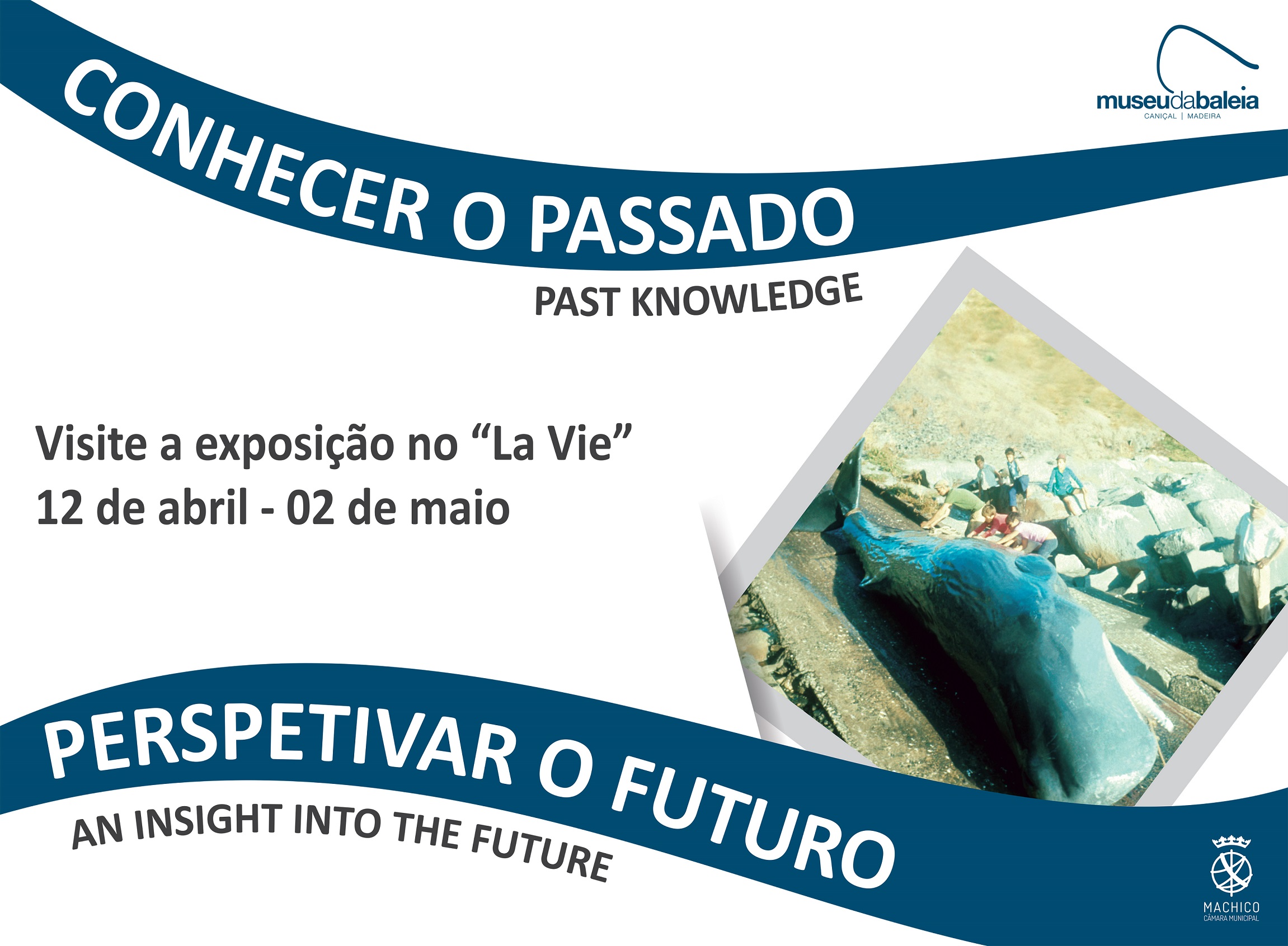 Cartaz Exposio Roll-ups La Vie