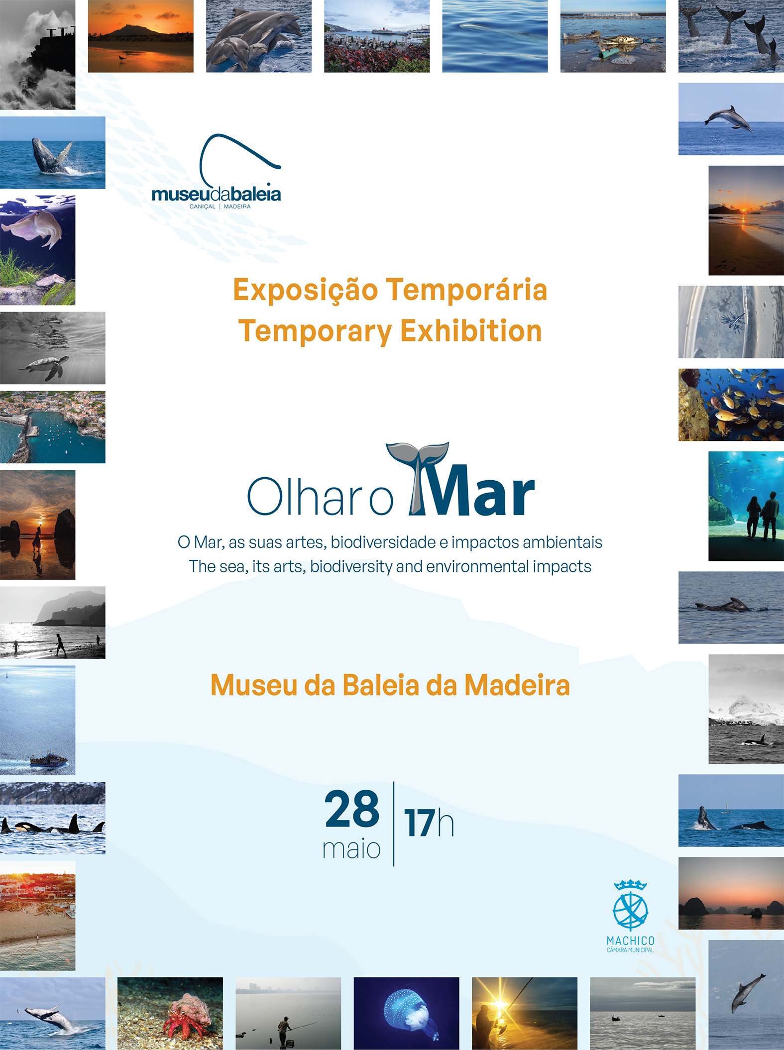 Inaugurao da exposio - fotos - VISITE
