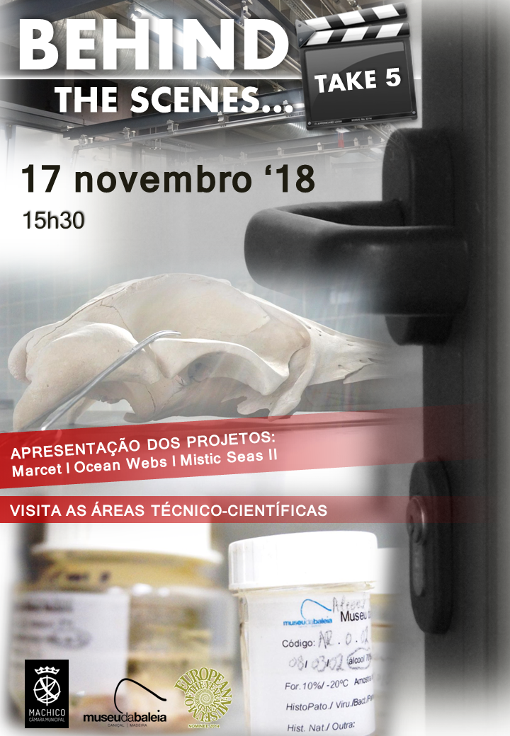 cartaz behind the scenes take 5