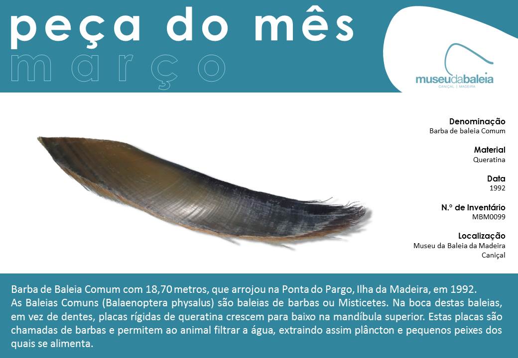 peça do mes de março 2016 PT