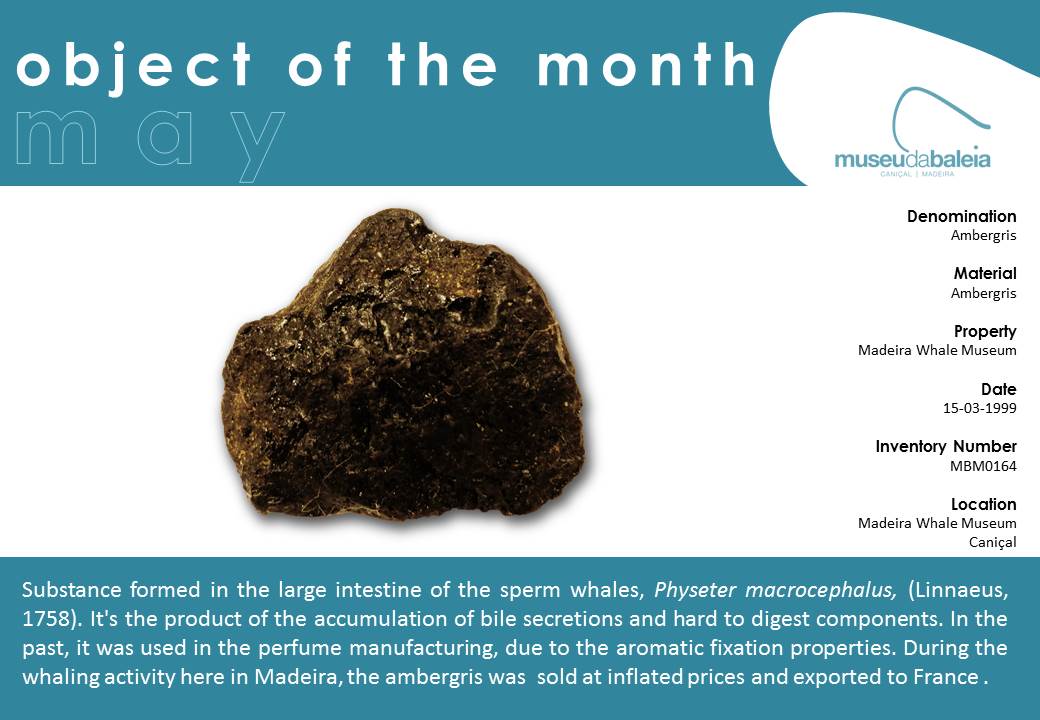 peça do mês de Maio - ing