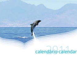 calendario