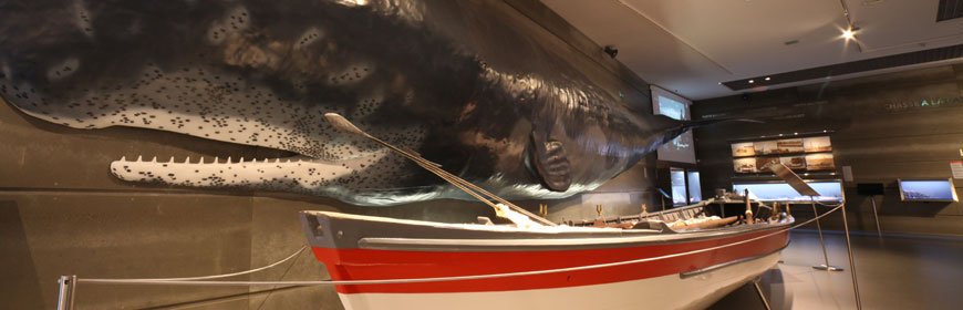 Exposições Permanentes no Museu da Baleia