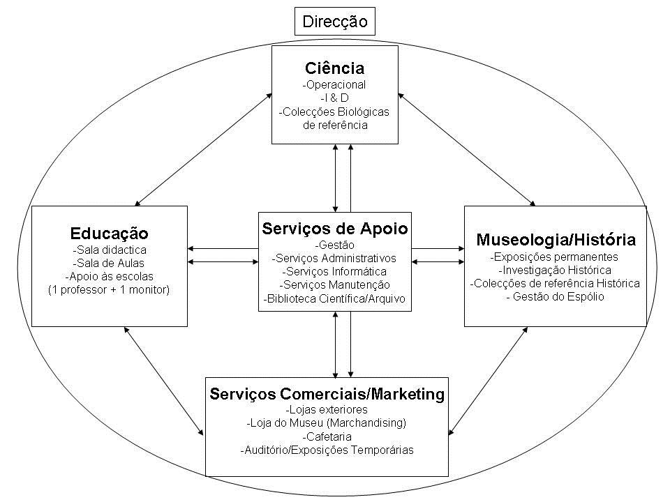 Diagrama representando a estrutura funcional considerada para o MBM