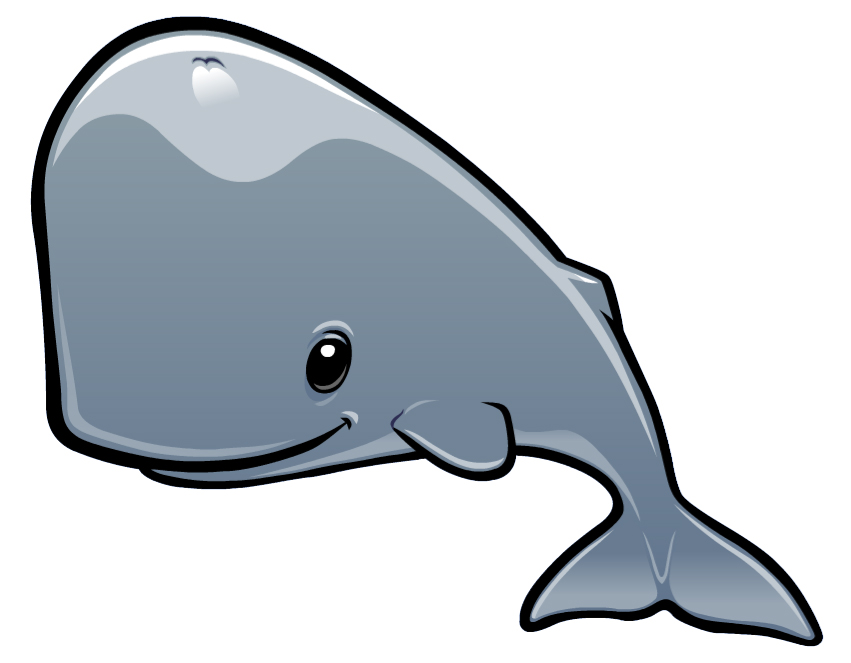 Pintarolas - Mascote do Museu da Baleia da Madeira